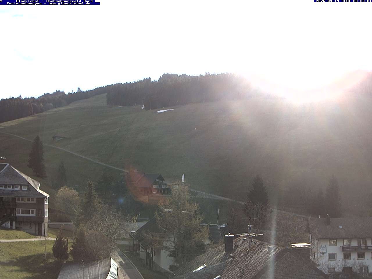 Archiv Foto Webcam Todtnau: Pension Glöcklehof