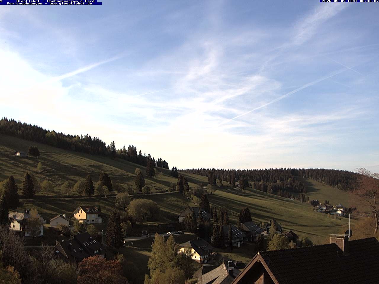 Archiv Foto Webcam Todtnau: Pension Glöcklehof
