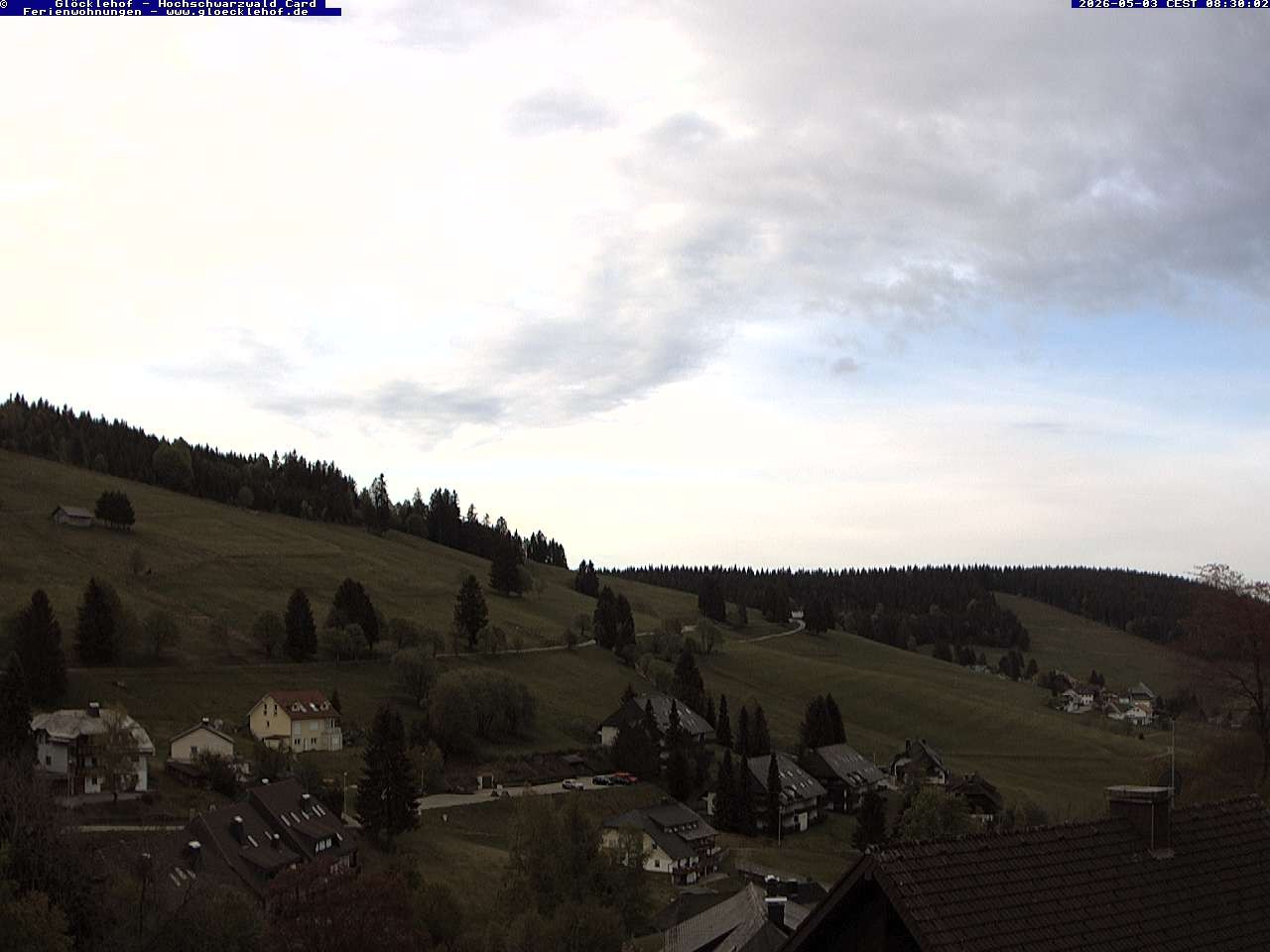 Archiv Foto Webcam Todtnau: Pension Glöcklehof