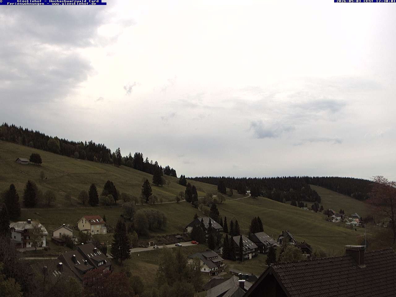 Archiv Foto Webcam Todtnau: Pension Glöcklehof