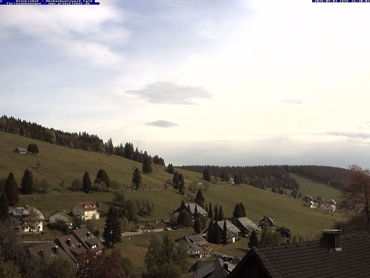 Archiv Foto Webcam Todtnau: Pension Glöcklehof