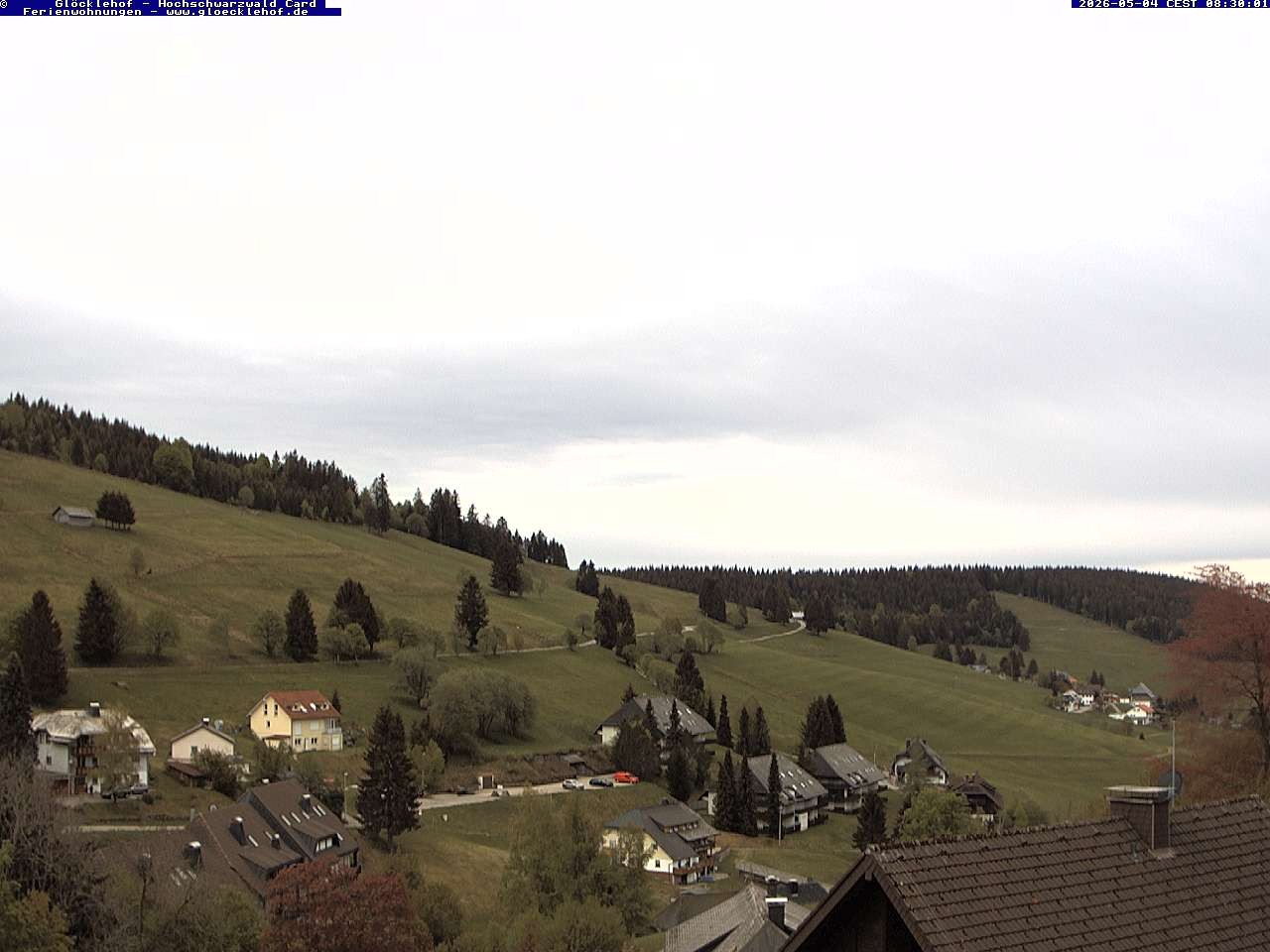 Archiv Foto Webcam Todtnau: Pension Glöcklehof