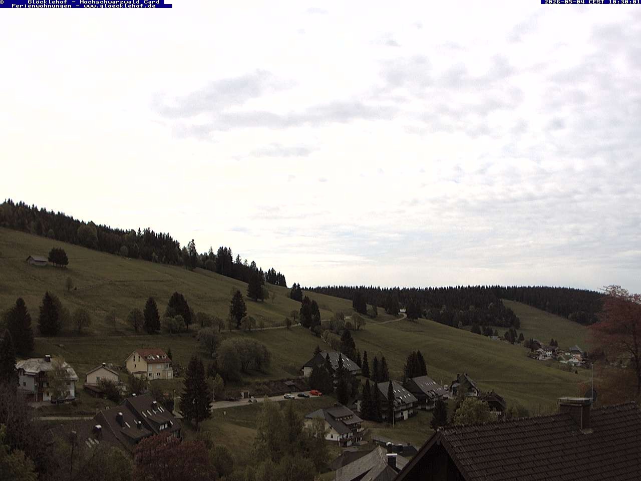 Archiv Foto Webcam Todtnau: Pension Glöcklehof