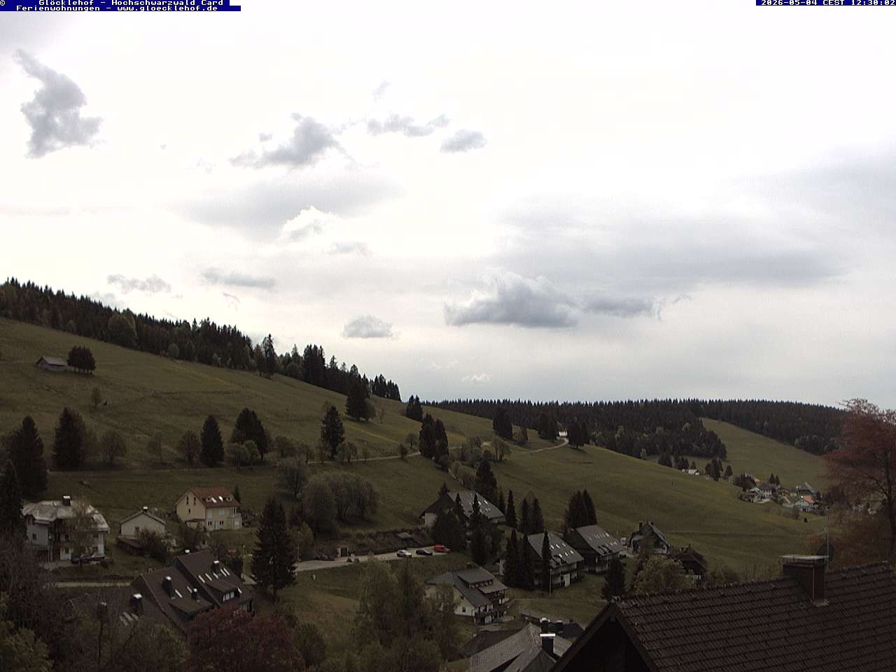 Archiv Foto Webcam Todtnau: Pension Glöcklehof