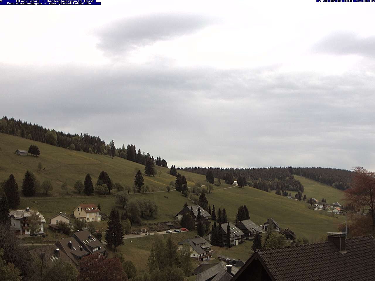 Archiv Foto Webcam Todtnau: Pension Glöcklehof