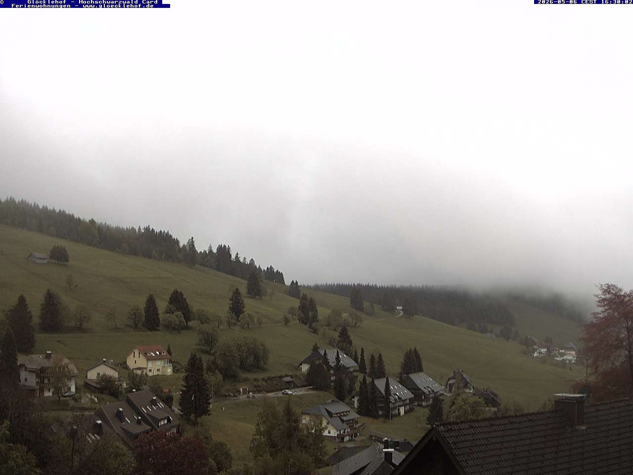 Archiv Foto Webcam Todtnau: Pension Glöcklehof