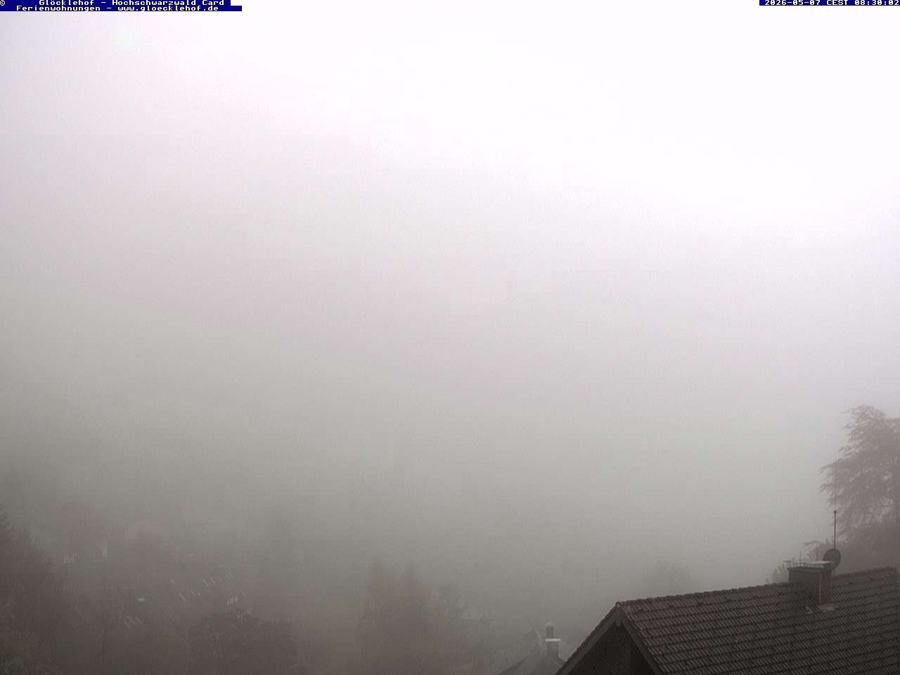 Archiv Foto Webcam Todtnau: Pension Glöcklehof