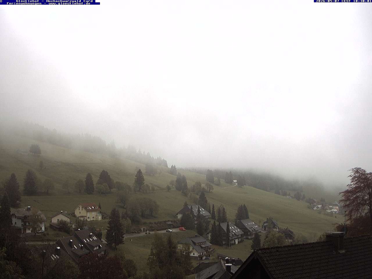 Archiv Foto Webcam Todtnau: Pension Glöcklehof