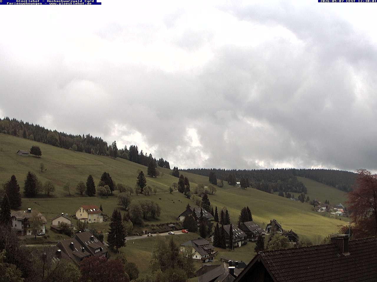 Archiv Foto Webcam Todtnau: Pension Glöcklehof