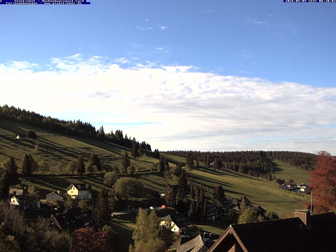 Archiv Foto Webcam Todtnau: Pension Glöcklehof