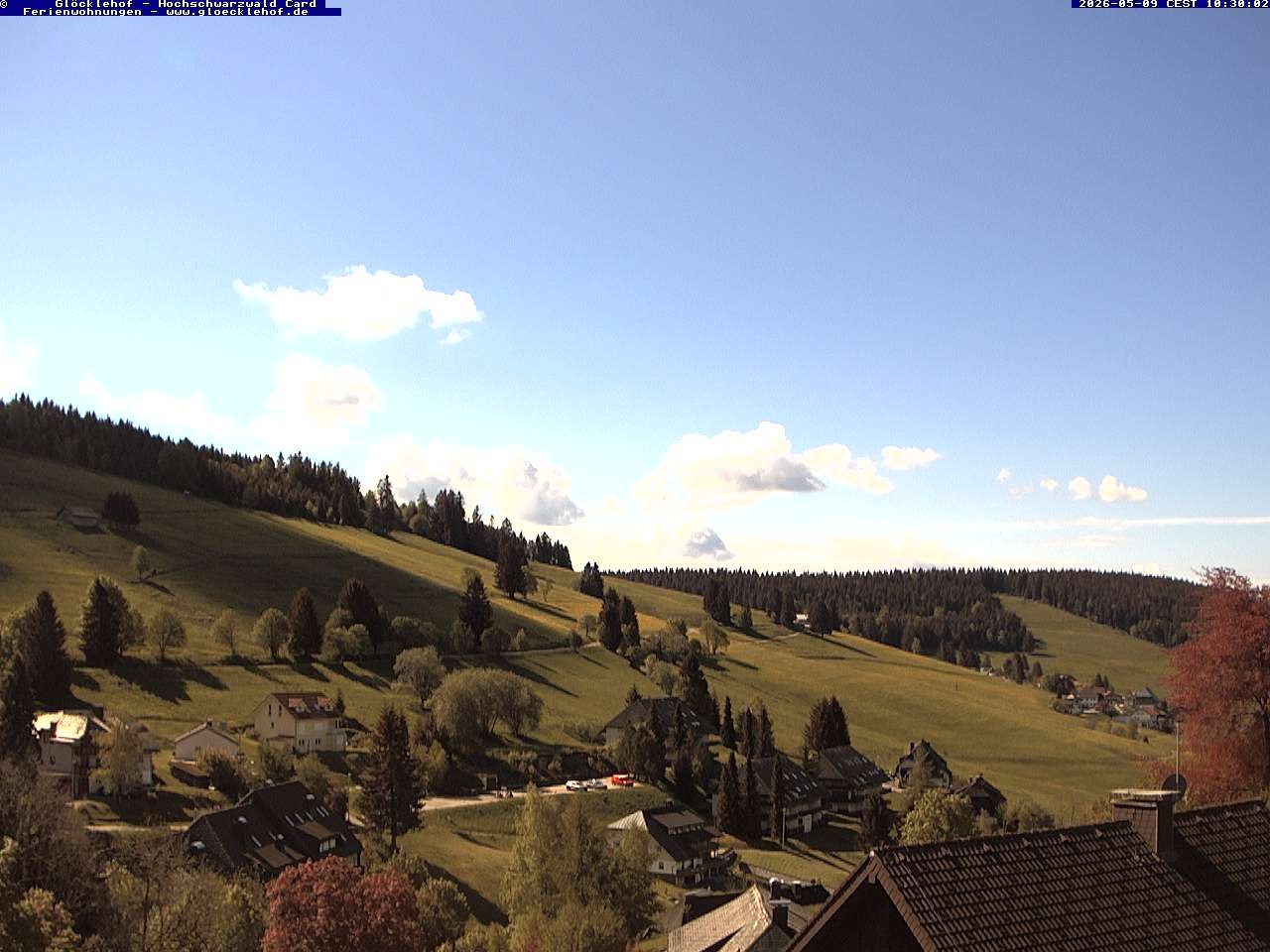 Archiv Foto Webcam Todtnau: Pension Glöcklehof