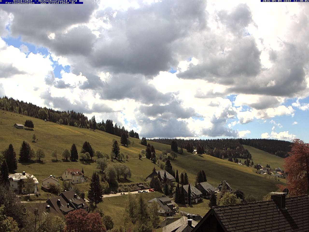 Archiv Foto Webcam Todtnau: Pension Glöcklehof