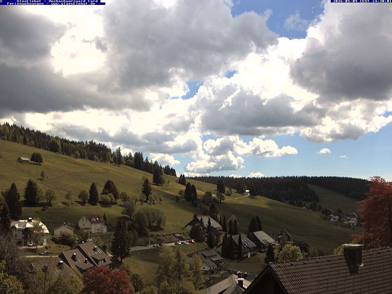 Archiv Foto Webcam Todtnau: Pension Glöcklehof
