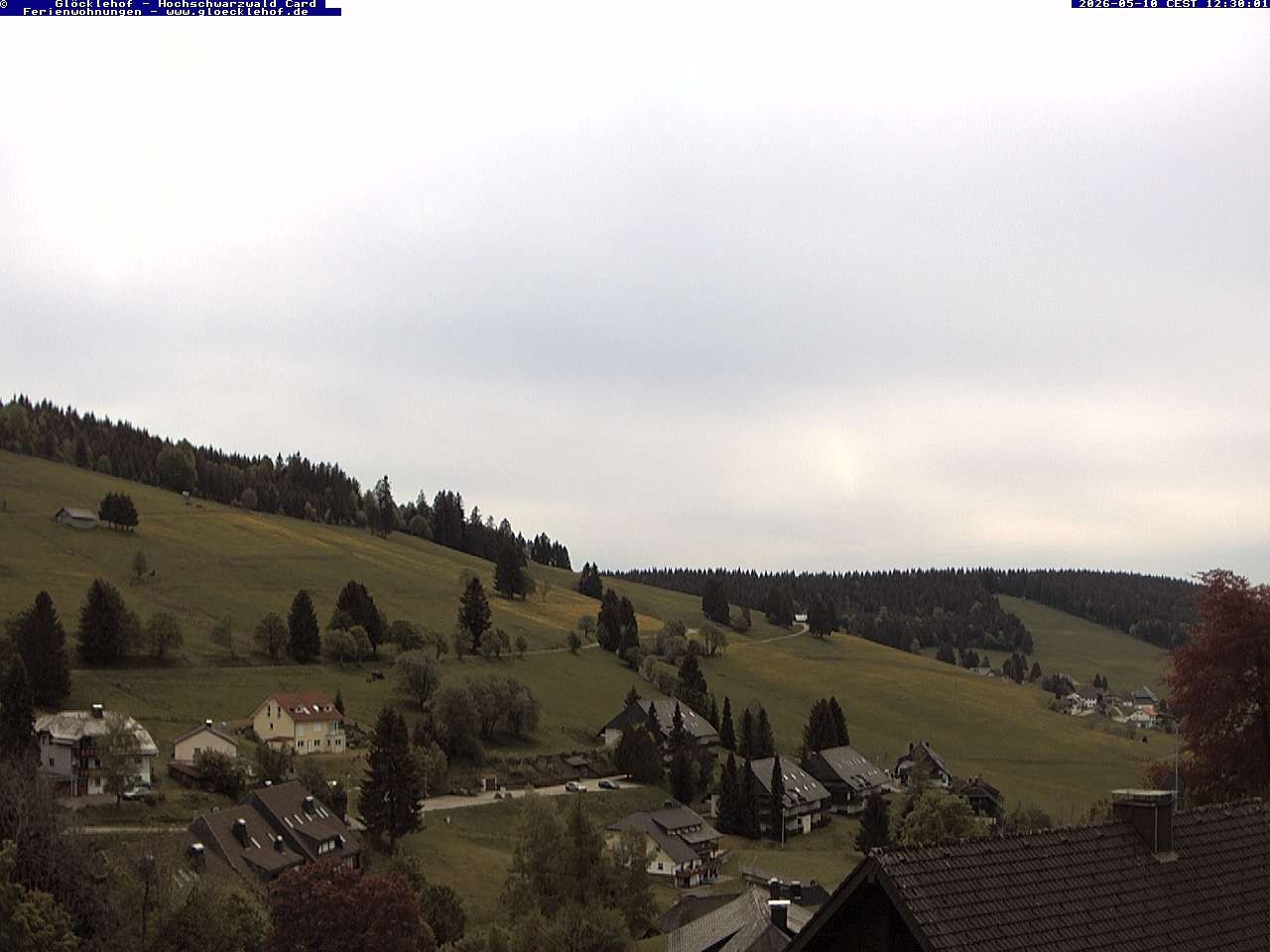 Archived image Webcam Todtnau: guest house Glöcklehof