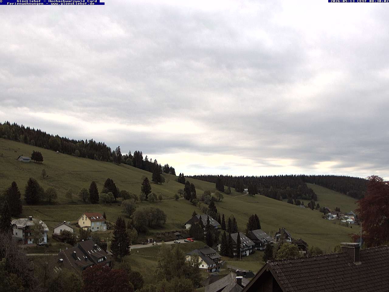 Archiv Foto Webcam Todtnau: Pension Glöcklehof