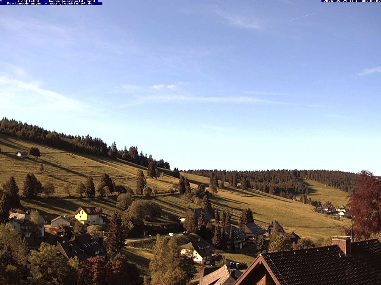 Archiv Foto Webcam Todtnau: Pension Glöcklehof