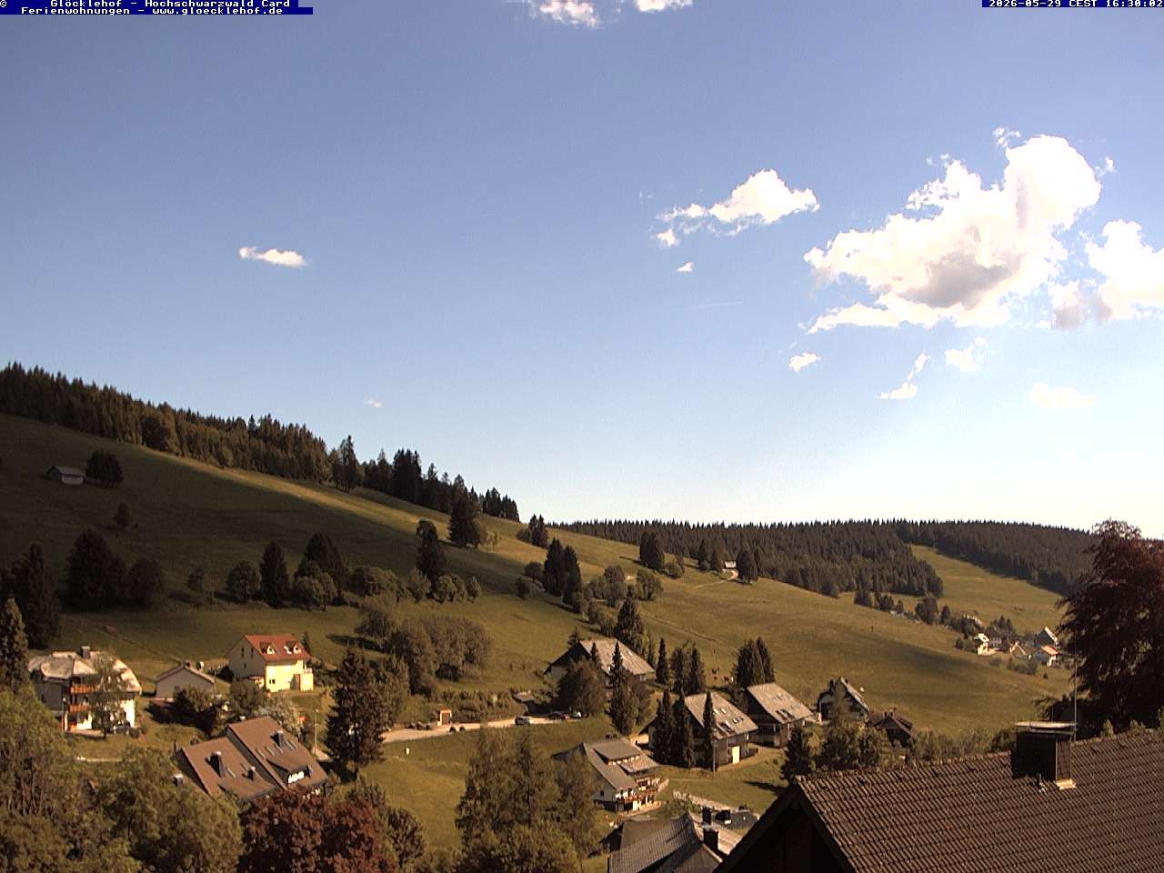 Archiv Foto Webcam Todtnau: Pension Glöcklehof