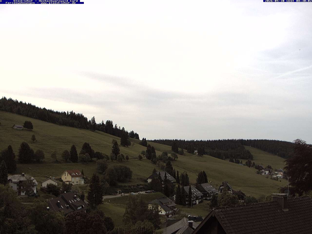 Archiv Foto Webcam Todtnau: Pension Glöcklehof