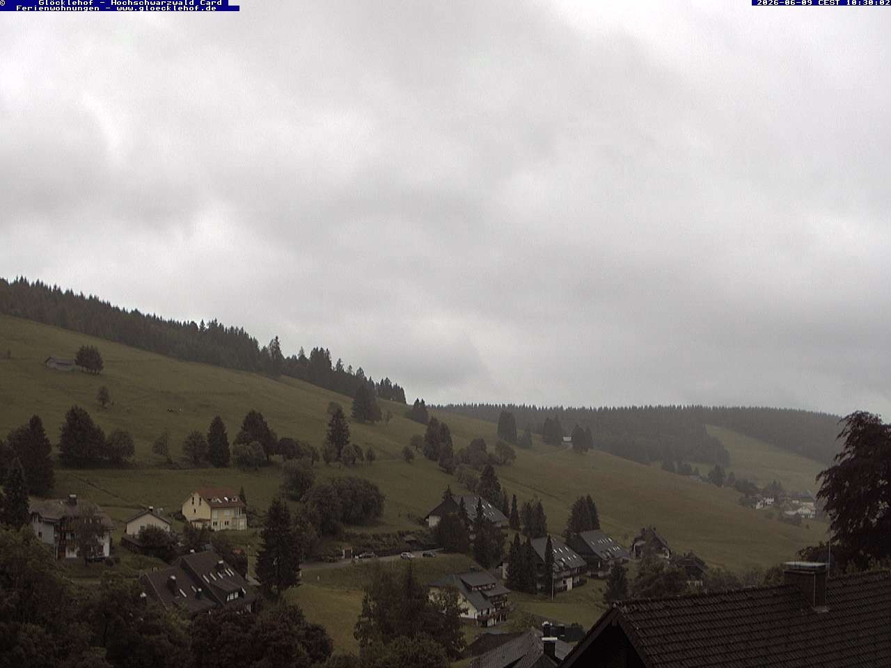 Archiv Foto Webcam Todtnau: Pension Glöcklehof