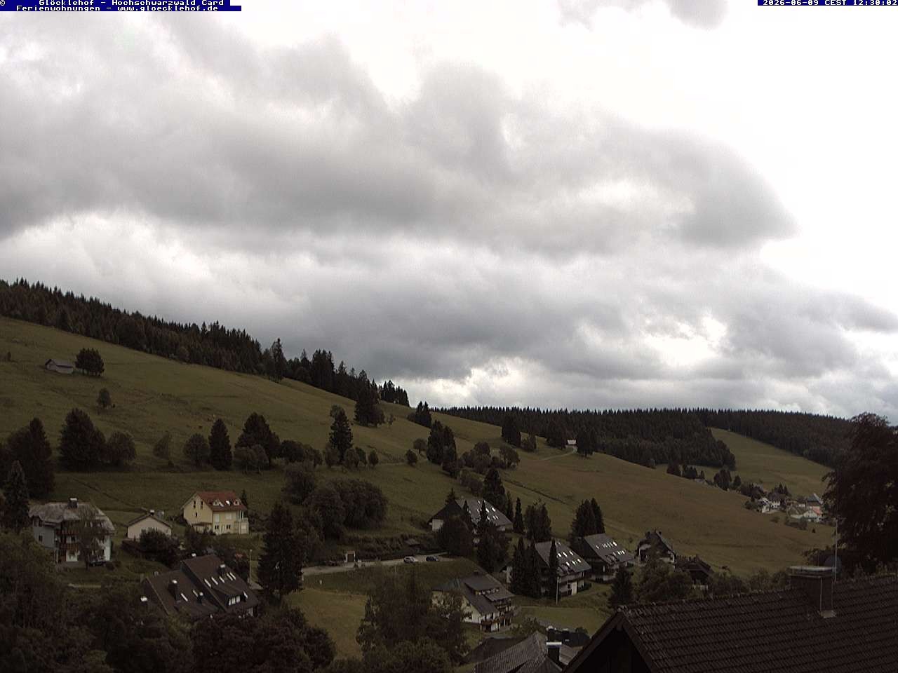 Archiv Foto Webcam Todtnau: Pension Glöcklehof