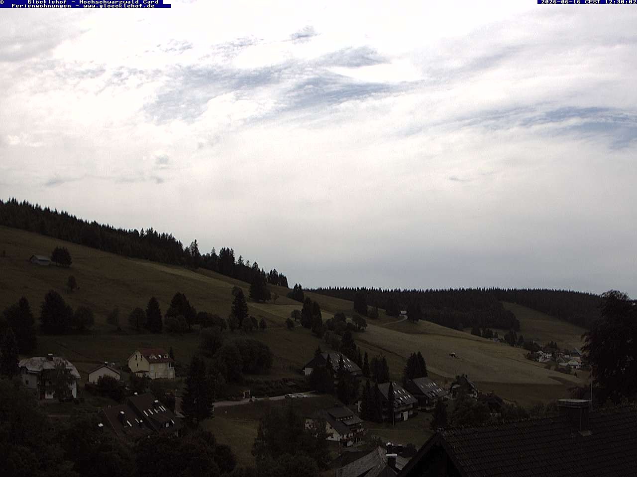 Archiv Foto Webcam Todtnau: Pension Glöcklehof