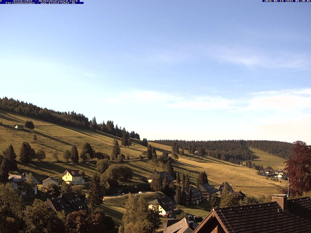 Archiv Foto Webcam Todtnau: Pension Glöcklehof