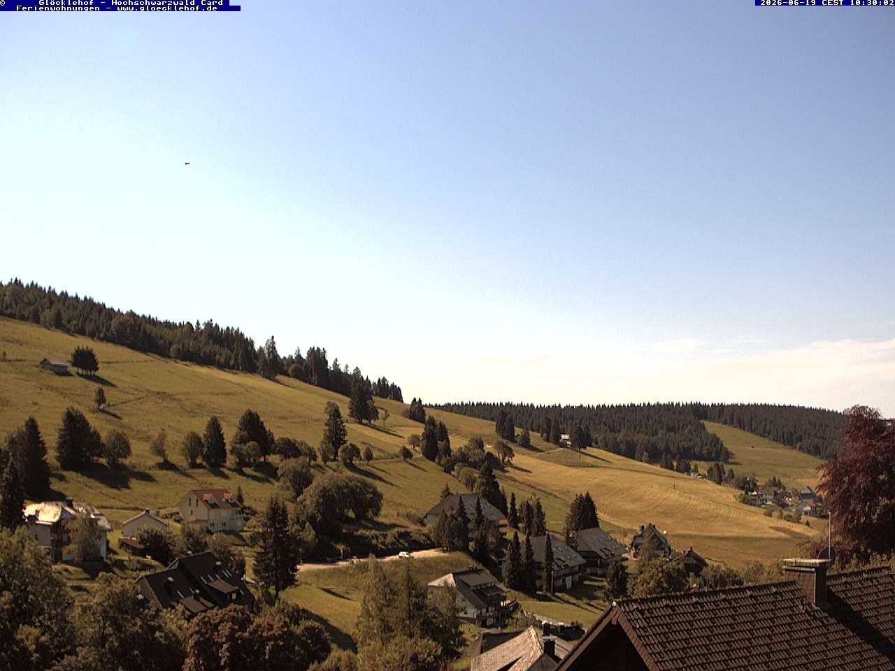 Archiv Foto Webcam Todtnau: Pension Glöcklehof