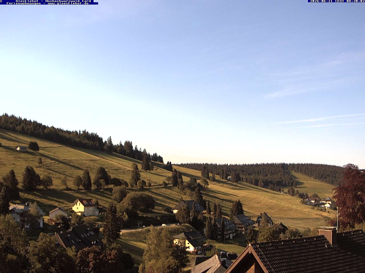 Archiv Foto Webcam Todtnau: Pension Glöcklehof