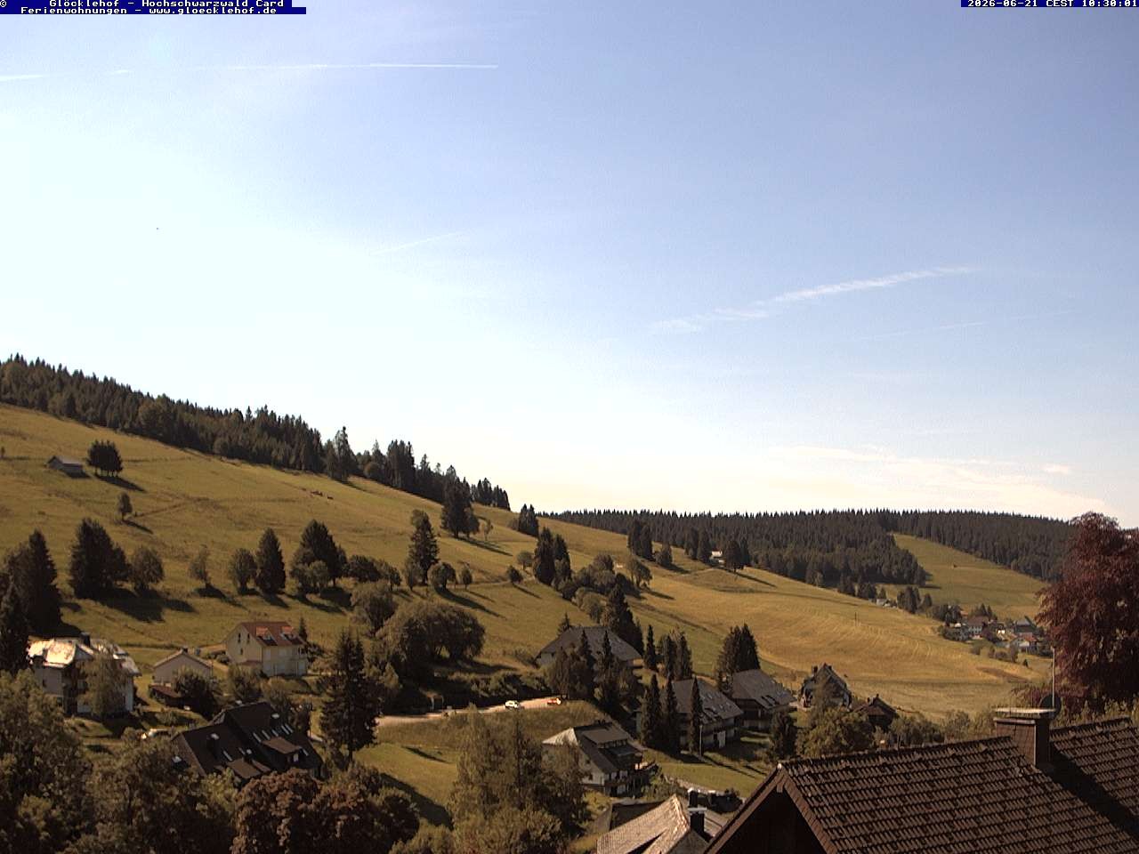 Archiv Foto Webcam Todtnau: Pension Glöcklehof