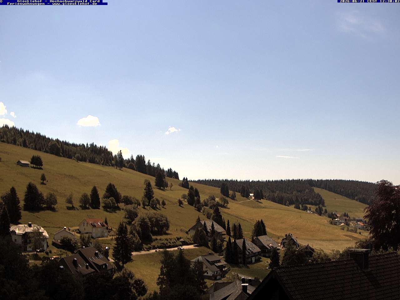 Archiv Foto Webcam Todtnau: Pension Glöcklehof