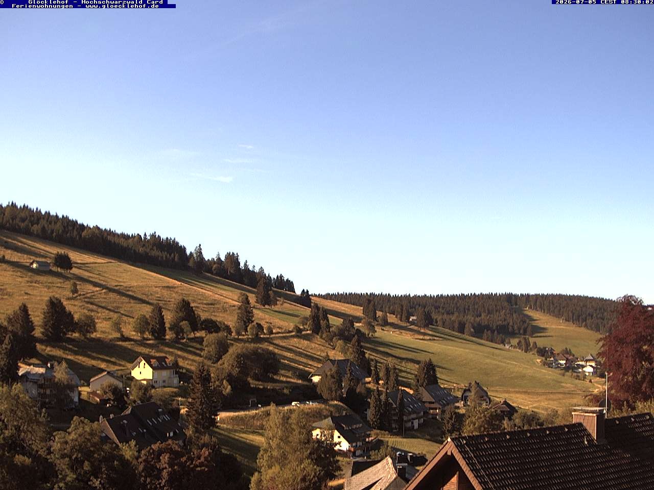 Archiv Foto Webcam Todtnau: Pension Glöcklehof