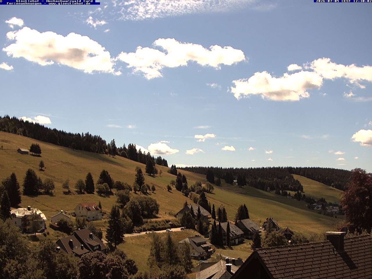 Archiv Foto Webcam Todtnau: Pension Glöcklehof