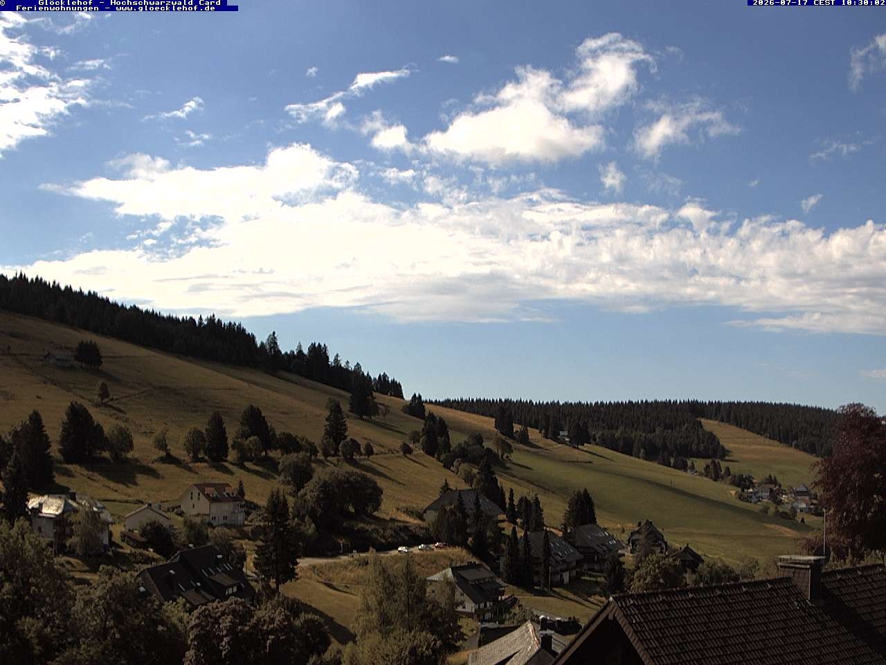 Archiv Foto Webcam Todtnau: Pension Glöcklehof