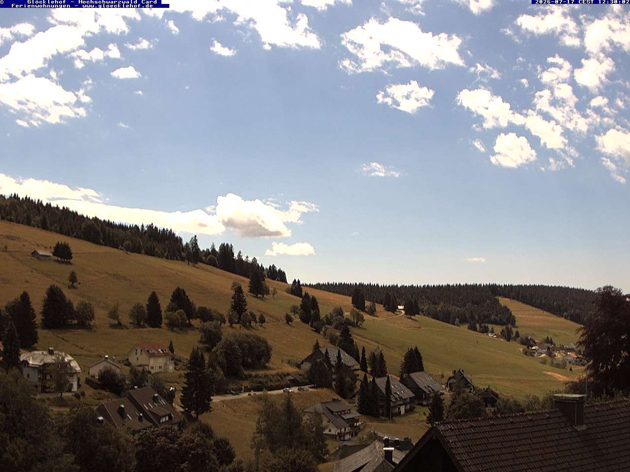 Archiv Foto Webcam Todtnau: Pension Glöcklehof