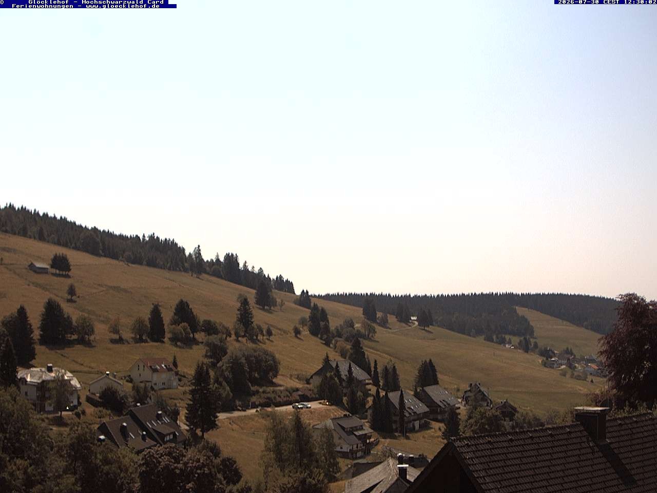 Archiv Foto Webcam Todtnau: Pension Glöcklehof
