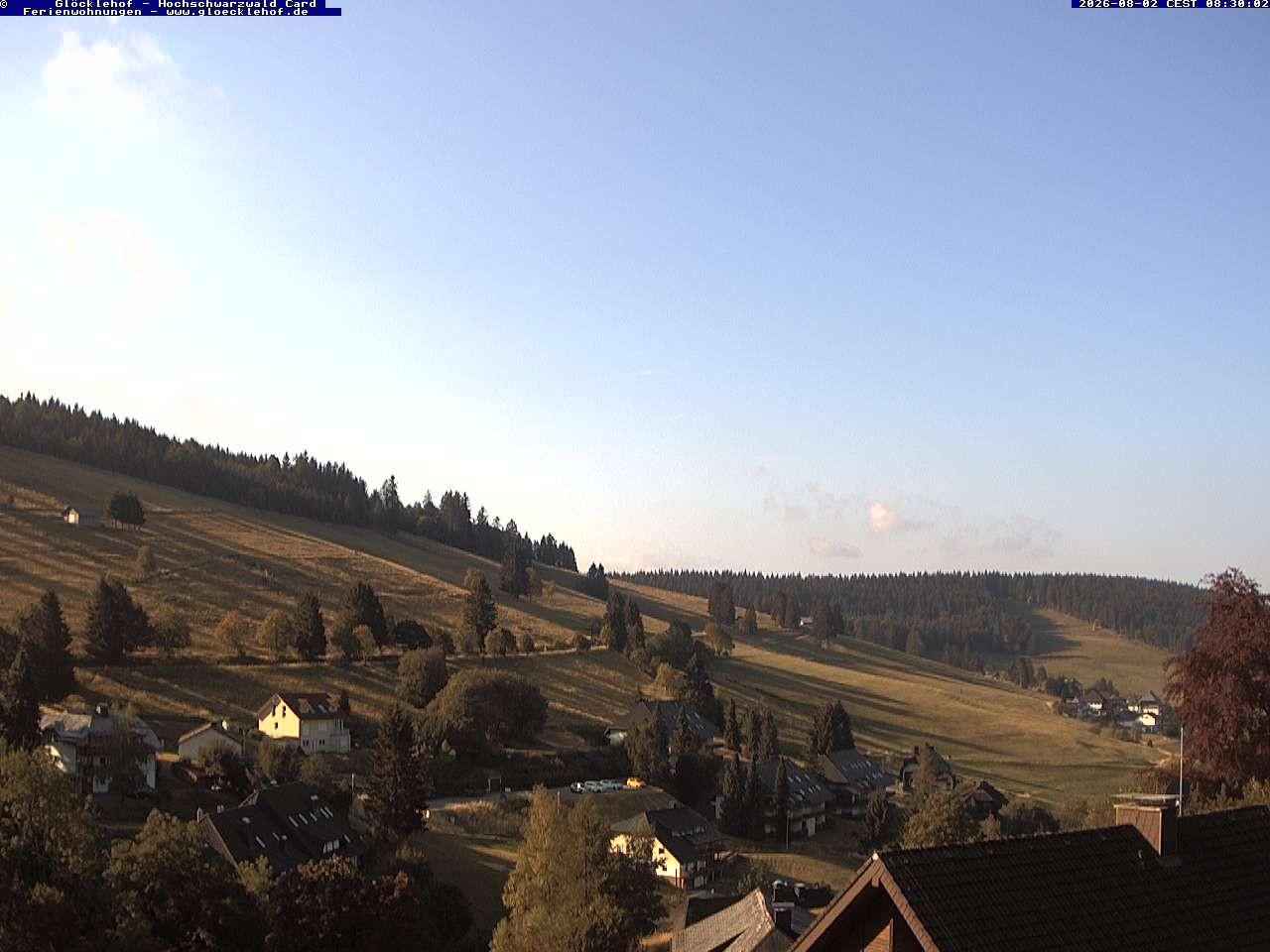 Archiv Foto Webcam Todtnau: Pension Glöcklehof
