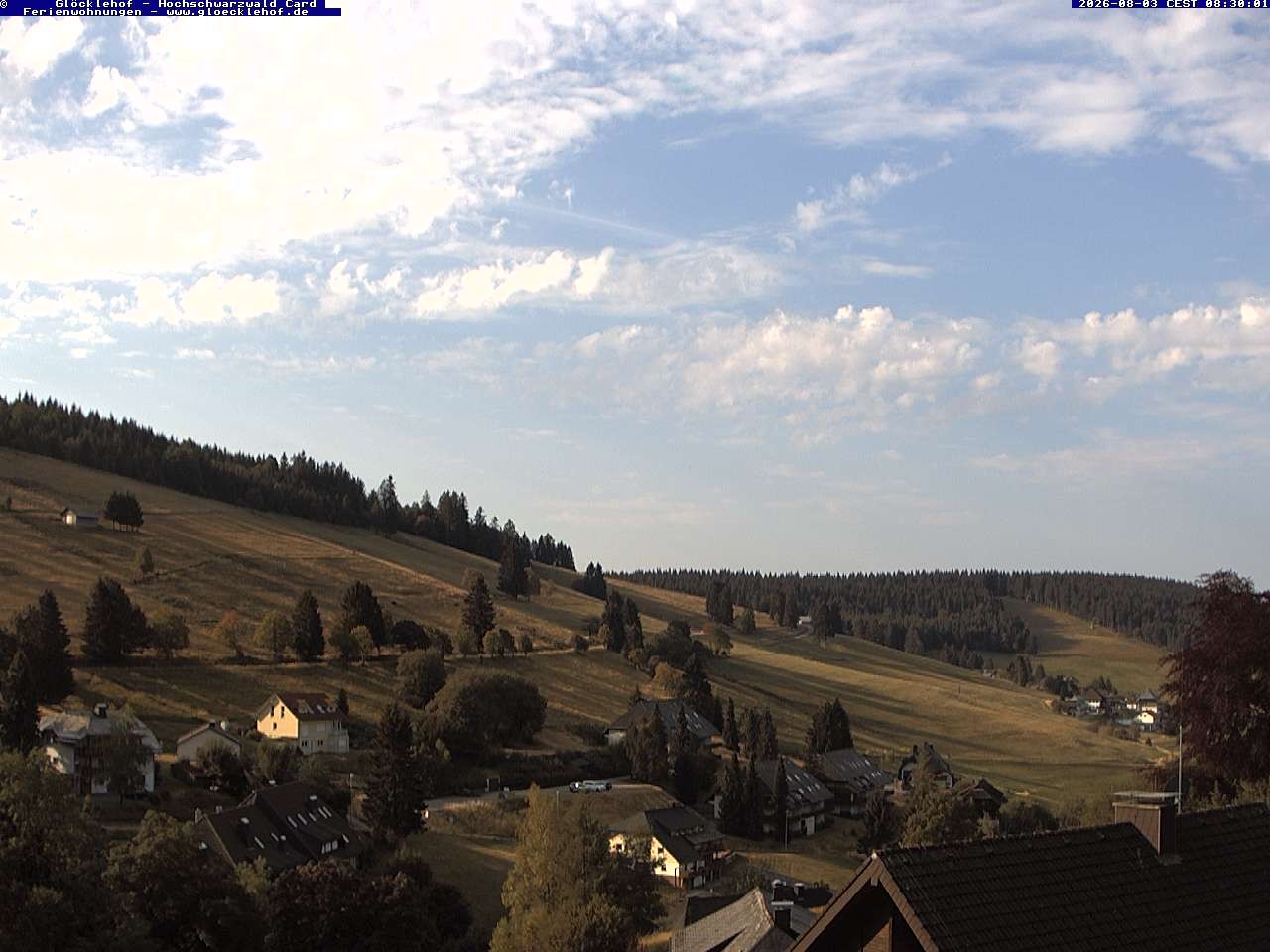 Archiv Foto Webcam Todtnau: Pension Glöcklehof