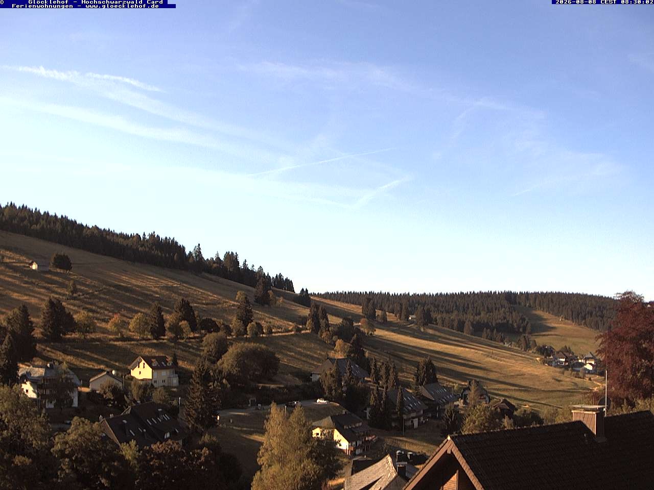 Archiv Foto Webcam Todtnau: Pension Glöcklehof