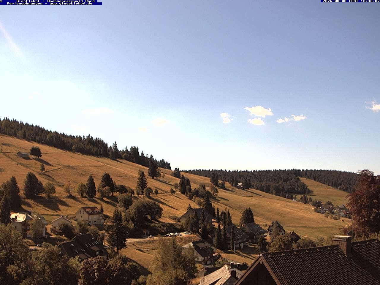 Archiv Foto Webcam Todtnau: Pension Glöcklehof