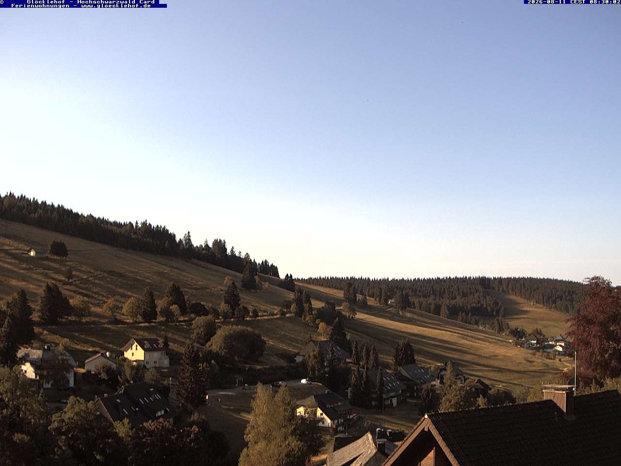 Archiv Foto Webcam Todtnau: Pension Glöcklehof