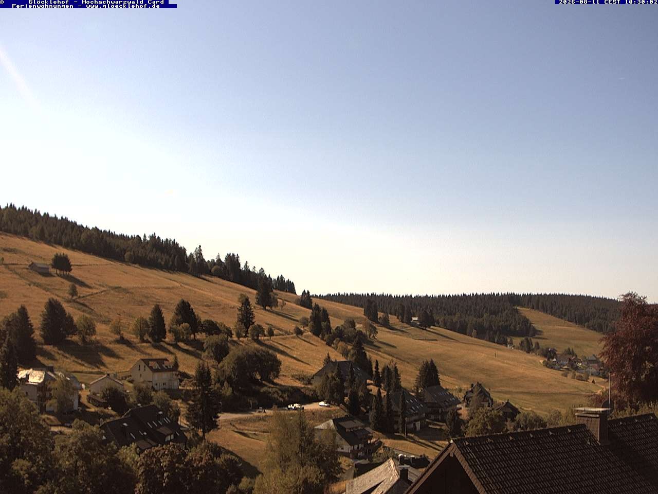 Archiv Foto Webcam Todtnau: Pension Glöcklehof