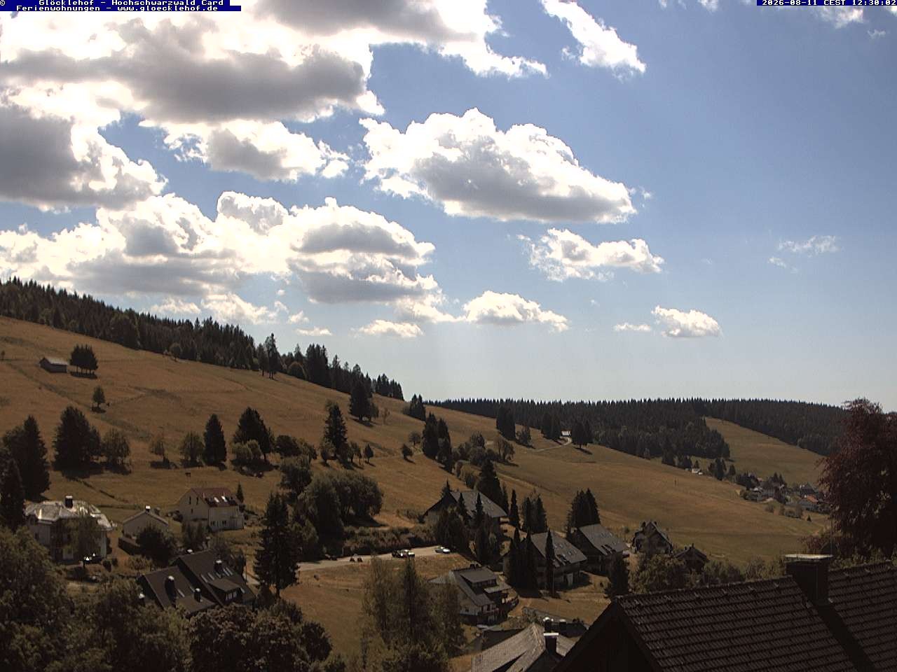 Archiv Foto Webcam Todtnau: Pension Glöcklehof