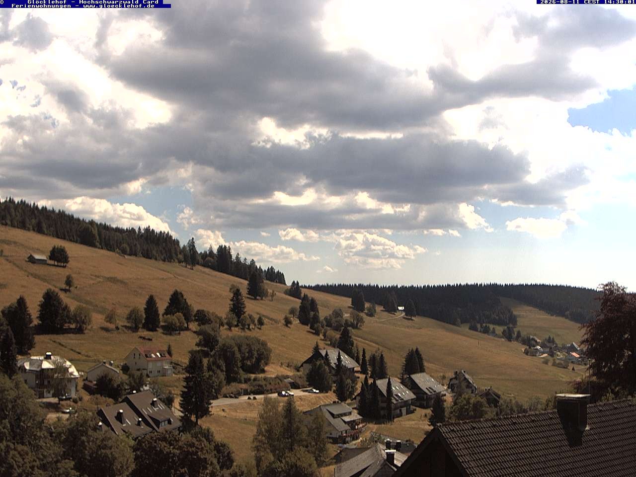 Archiv Foto Webcam Todtnau: Pension Glöcklehof