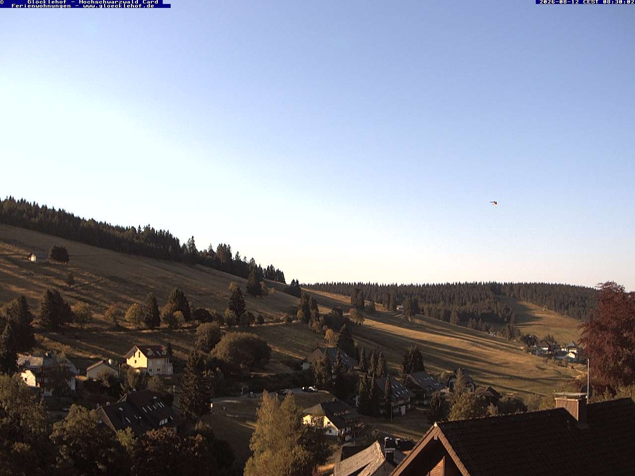Archiv Foto Webcam Todtnau: Pension Glöcklehof