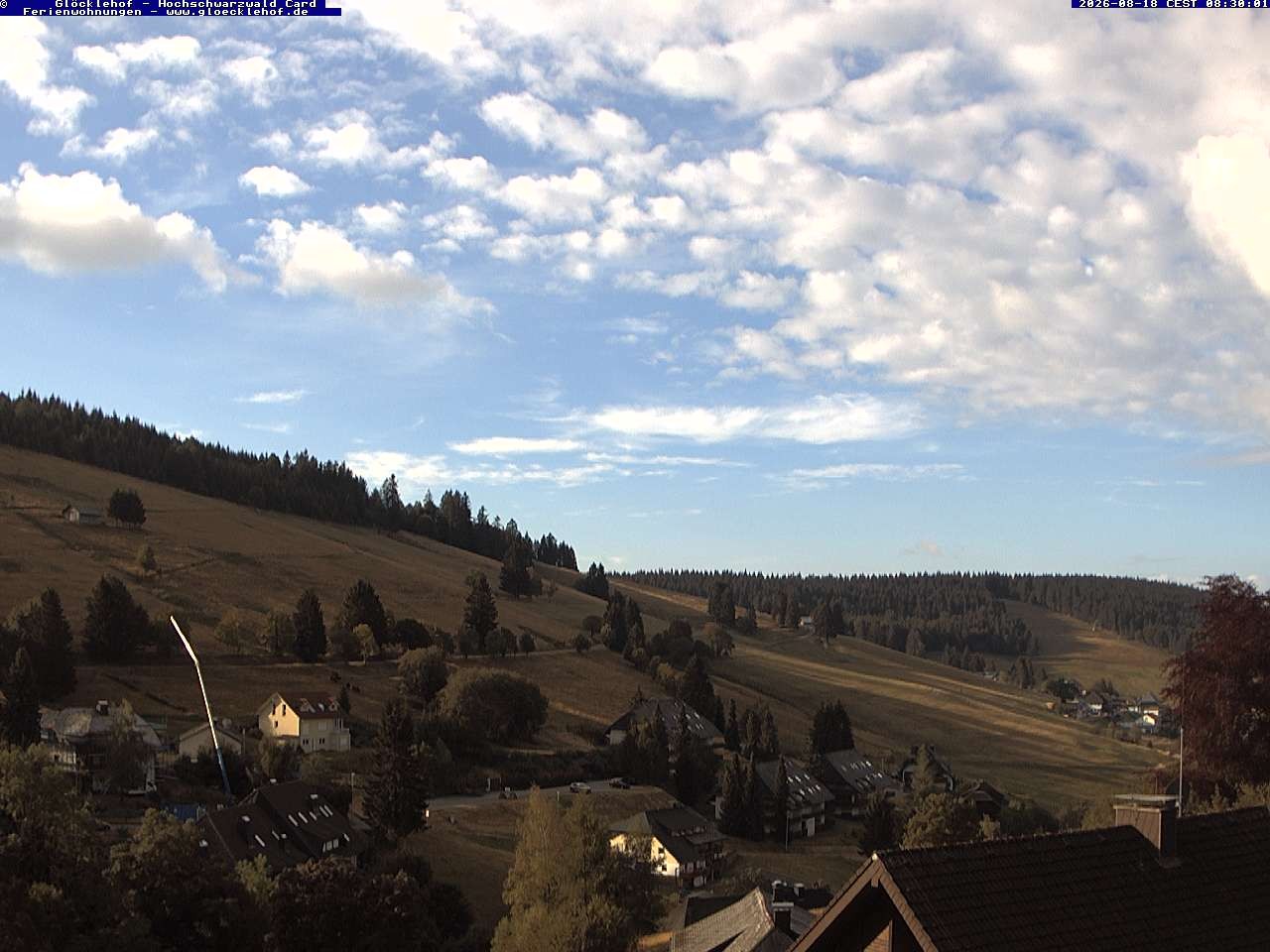 Archiv Foto Webcam Todtnau: Pension Glöcklehof
