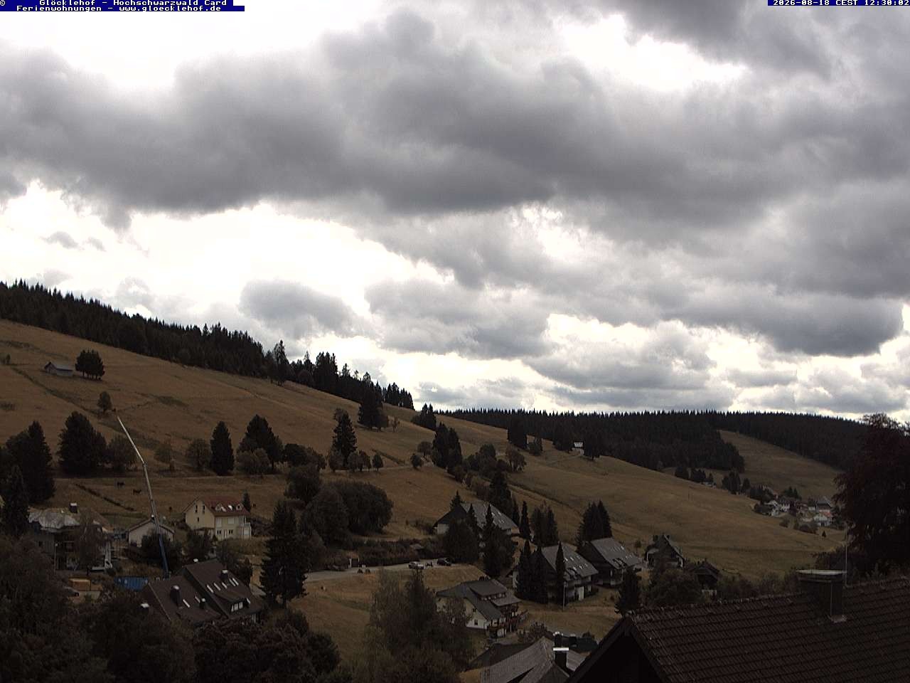 Archiv Foto Webcam Todtnau: Pension Glöcklehof
