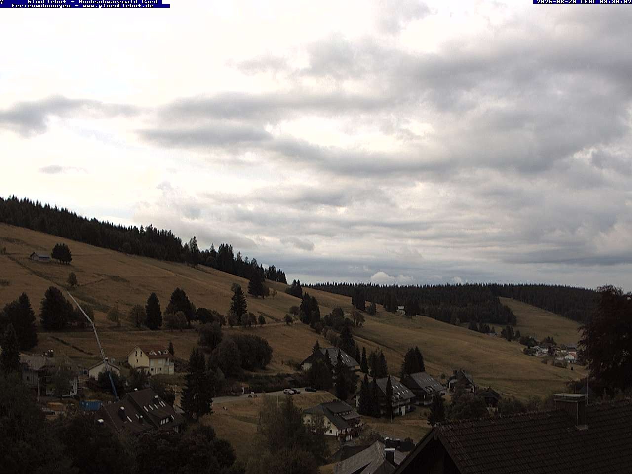 Archiv Foto Webcam Todtnau: Pension Glöcklehof