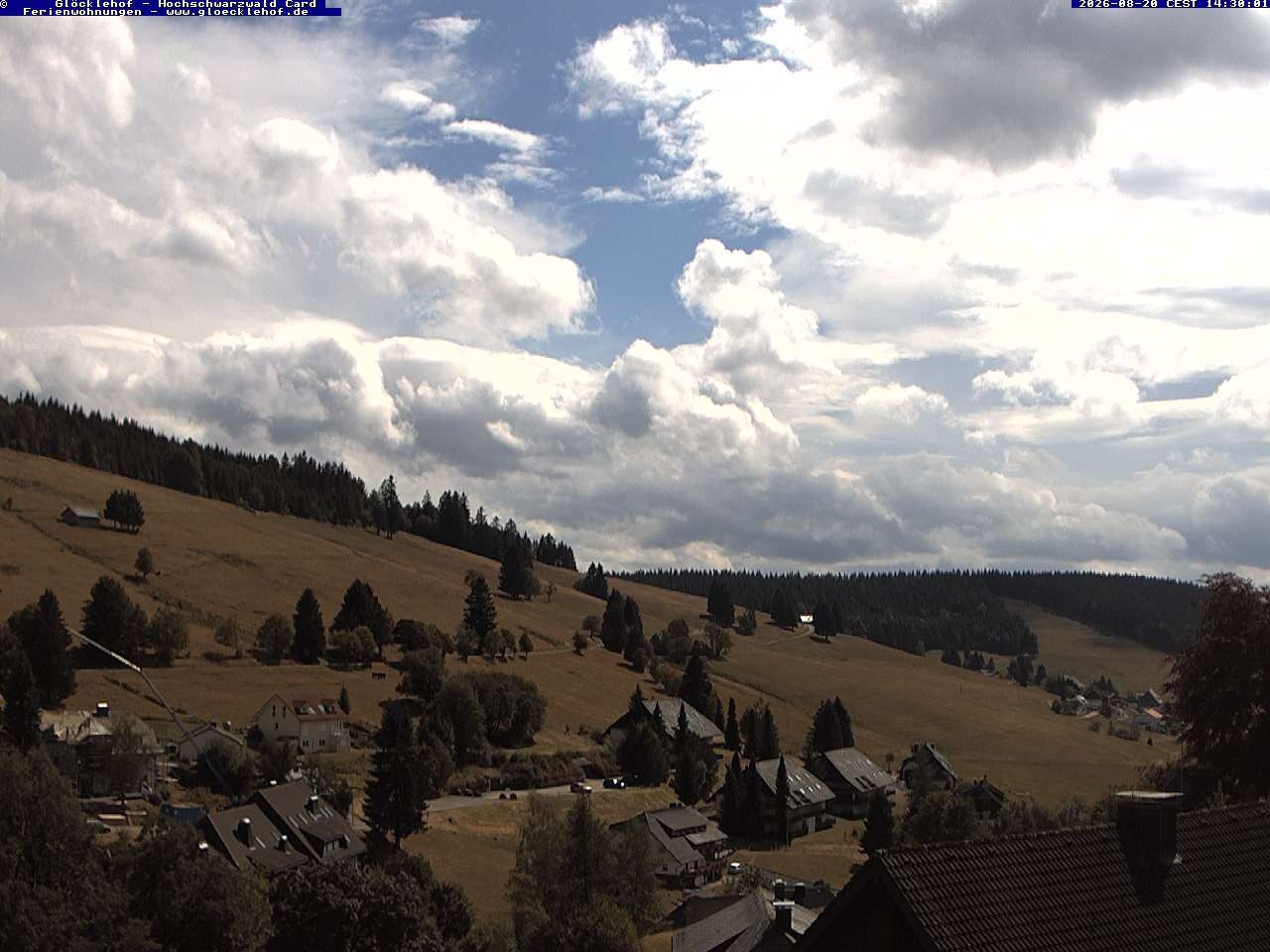 Archiv Foto Webcam Todtnau: Pension Glöcklehof
