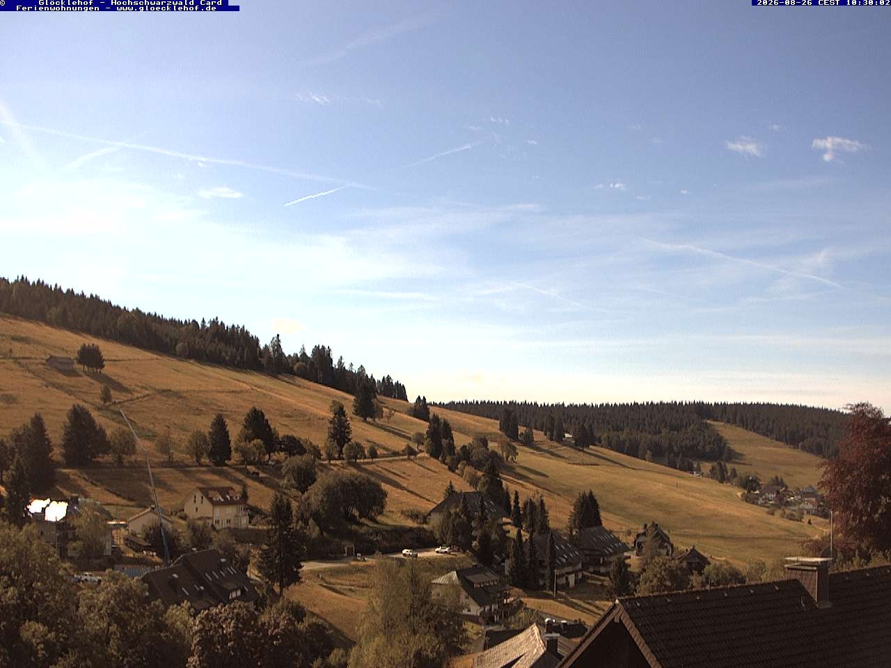 Archiv Foto Webcam Todtnau: Pension Glöcklehof
