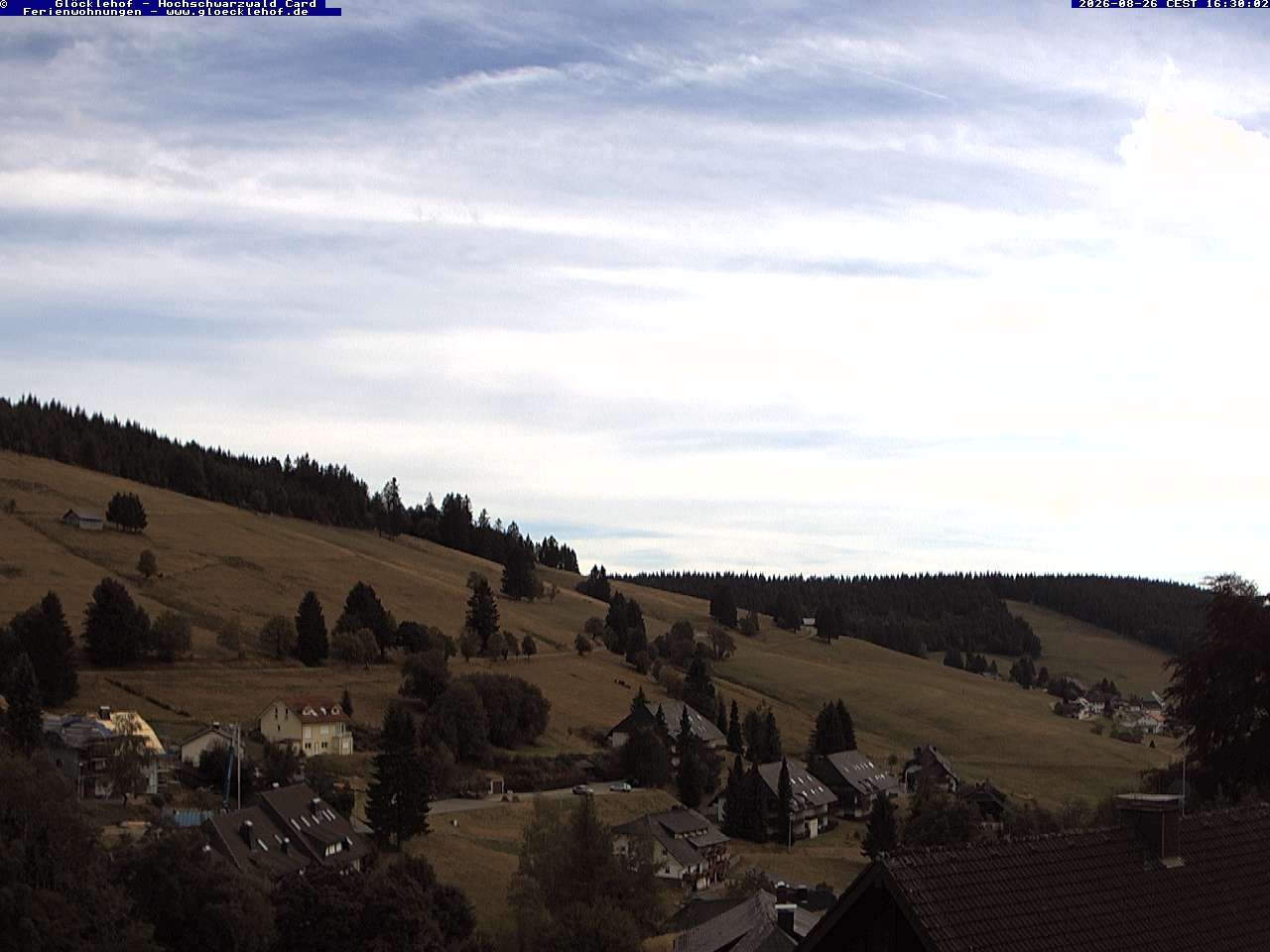 Archiv Foto Webcam Todtnau: Pension Glöcklehof